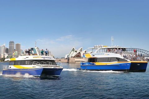 Go City | Sydney Explorer Pass With 20+ Attractions And Tours - Accommodation Ballina 5