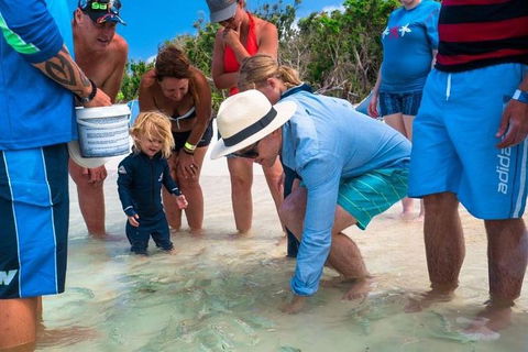 Whitehaven Beach And Hamilton Island Cruise - Accommodation Ballina 1