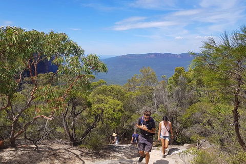 Blue Mountains Unique Small-Group Day Adventure With BBQ Lunch - Accommodation Ballina 3