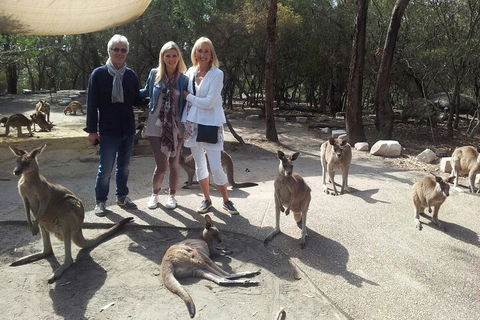 Private Scenic Day Trip From Sydney For Families And Friends - Accommodation Ballina 1