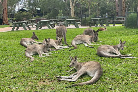 Private Scenic Day Trip From Sydney For Families And Friends - Accommodation Ballina 4