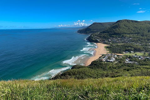 South Coast Private Charter - Accommodation Ballina 0