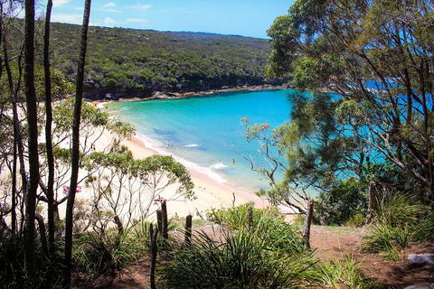 South Coast Private Charter - Accommodation Ballina 1
