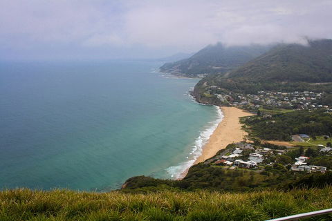 South Coast Private Charter - Accommodation Ballina 3