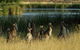 Canberra - The National Capital | Full Day Private Tour | Departs From Sydney - thumb 3