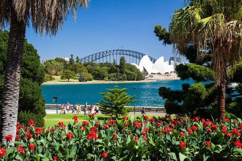 Sydney Luxury Private Shore Excursion | 6 Hr Tour | Departs From Cruise Terminal - Accommodation Ballina 5