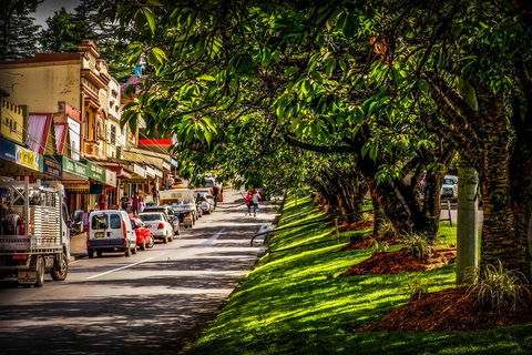 Fully Inclusive Blue Mountains Private Tour Inc Scenic World & Featherdale Entry - Accommodation Ballina 0