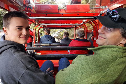 Fully Inclusive Blue Mountains Private Tour Inc Scenic World & Featherdale Entry - Accommodation Ballina 1
