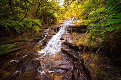 Fully Inclusive Blue Mountains Private Tour Inc Scenic World & Featherdale Entry - Accommodation Ballina 3