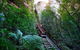 Fully Inclusive Blue Mountains Private Tour Inc Scenic World & Featherdale Entry - thumb 4