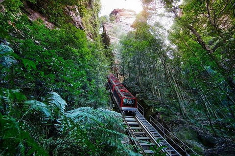 Fully Inclusive Blue Mountains Private Tour Inc Scenic World & Featherdale Entry - Accommodation Ballina 4
