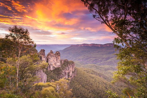 Fully Inclusive Blue Mountains Private Tour Inc Scenic World & Featherdale Entry - Accommodation Ballina 5
