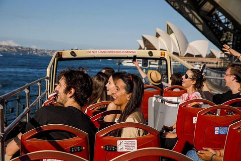 Hop-On Hop-Off Bus And PLUS 4 Merlin Attractions - Accommodation Ballina 1