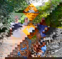 Cape Tribulation Daintree Rainforest and Wildlife Tour - Accommodation Ballina