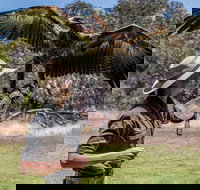 One Day Kangaroo Island Sip  See tour with return ferry transfers from Adelaide - Accommodation Ballina