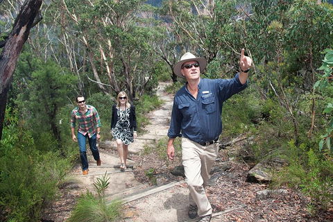 Small-Group Blue Mountains Tour With Bush Walks And Featherdale Wildlife Park - Accommodation Ballina 0