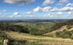 Hunter Valley Wine Tour From Sydney With Lunch And 3 Cellar Door Tastings - thumb 1