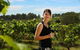 Hunter Valley Wine Tour From Sydney With Lunch And 3 Cellar Door Tastings - thumb 3
