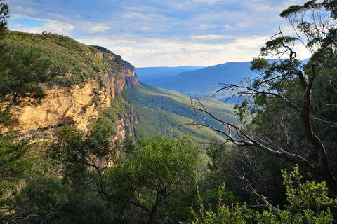 Blue Mountains Day Tour With Wildlife At Sunset From Sydney - Accommodation Ballina 5