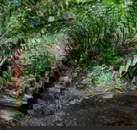 Adelaide to Melbourne 3-Day Trip through Grampians and Great Ocean Road - Accommodation Ballina