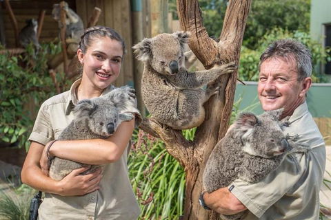 Sydney Wine Tour â€“ Wine, Waves & Wildlife In South Coast - Accommodation Ballina 2