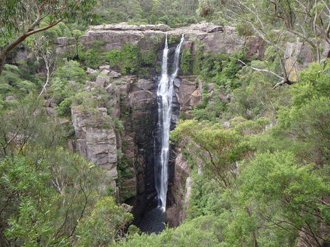 Sydney Wine Tour â€“ Wine, Waves & Wildlife In South Coast - Accommodation Ballina 3