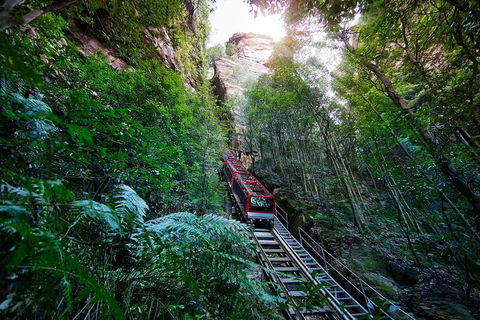 Private Blue Mountains Tour - Accommodation Ballina 0