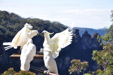 Private Blue Mountains Tour - Accommodation Ballina 1
