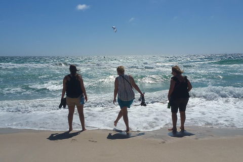 Very Best Of Perth Tour - Wildlife Park & City Highlights Tour - Accommodation Ballina 5