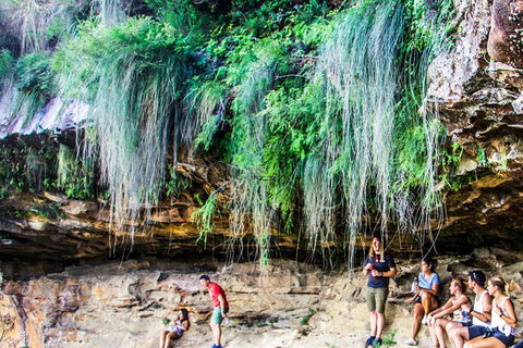 Sunset Blue Mountains Wilderness & Wildlife Tour Without The Crowds - Accommodation Ballina 1