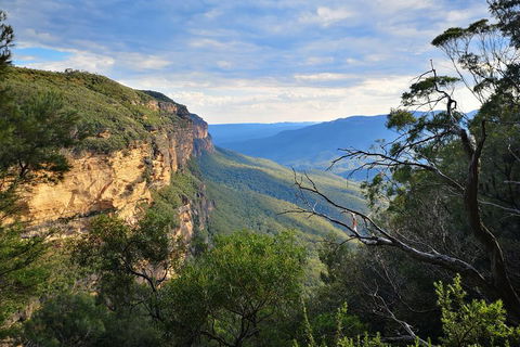 Sunset Blue Mountains Wilderness & Wildlife Tour Without The Crowds - Accommodation Ballina 2