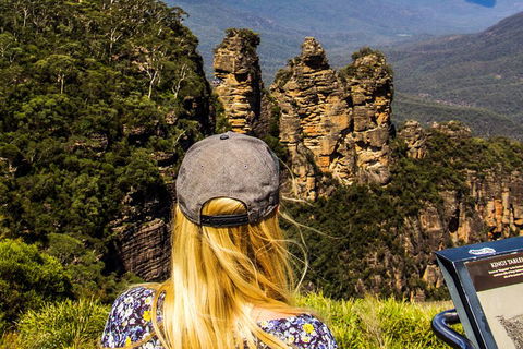 Sunset Blue Mountains Wilderness & Wildlife Tour Without The Crowds - Accommodation Ballina 4
