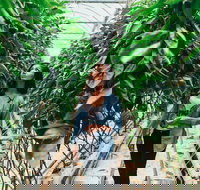 Yarra Valley Local Produce and Wine Tasting Tour - Accommodation Ballina