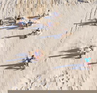 Unlimited Sandboarding - Accommodation Ballina