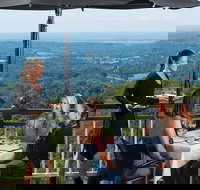 Sunshine Coast Hinterland Rainforest Views and Montville Day Tour Inc. Lunch - Accommodation Ballina