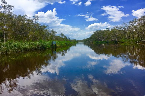 Noosa Everglades Serenity Cruise & Highlights Tour Inc. Lunch & Cruise - Accommodation Ballina 0