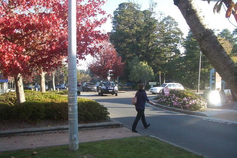 PRIVATE All-Day Blue Mountains Tour With Professional Guide For Up To 4 People - Accommodation Ballina 1