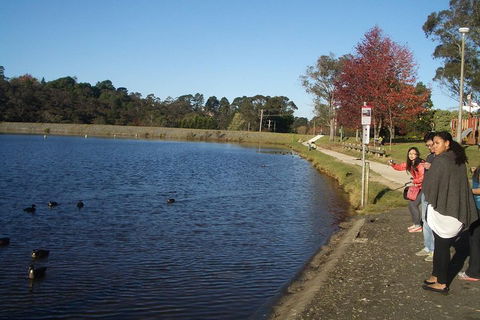PRIVATE All-Day Blue Mountains Tour With Professional Guide For Up To 4 People - Accommodation Ballina 2