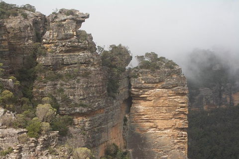 Private Blue Mountains Tour With Expert Guide - Accommodation Ballina 5