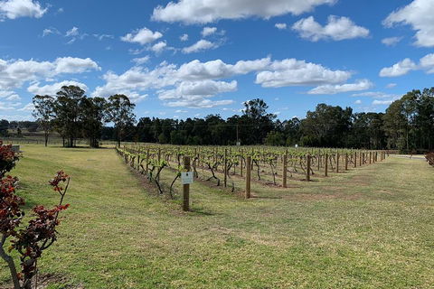 Private Day Trip To Hunter Valley From Sydney With Pickup - Accommodation Ballina 3
