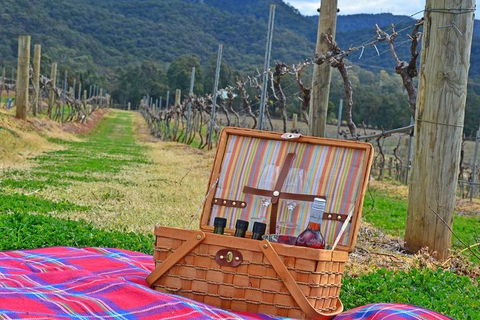 Private Hunter Valley And Gardens Day Trip From Sydney - Accommodation Ballina 2