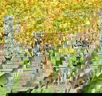 Margaret River Indulge and Discover Day Tour - Accommodation Ballina