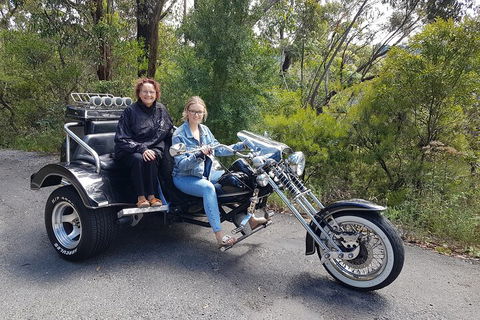 Blue Mountains 1-Hour Trike Tour Of Three Sisters - Accommodation Ballina 1