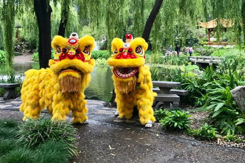 Chinese Garden General Admission Ticket - Accommodation Ballina 3