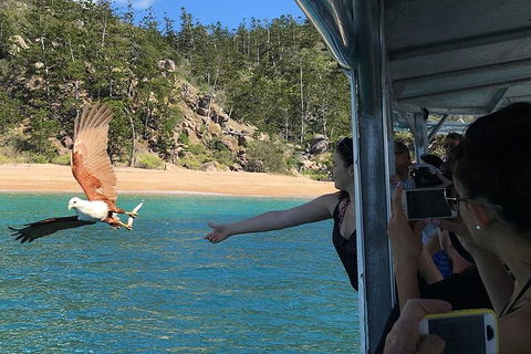 Aquascene Magnetic Island Discovery Tour - Accommodation Ballina 2