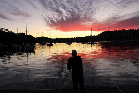 Sydney Harbour, Northern Beaches And National Park - Accommodation Ballina 1