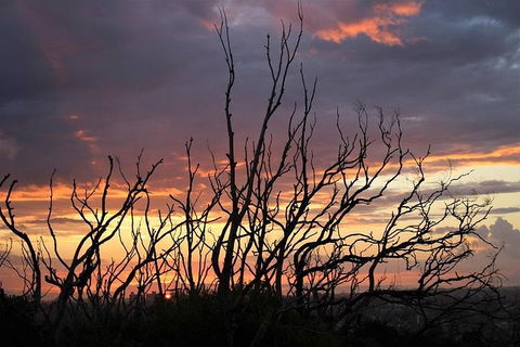 Sydney Harbour, Northern Beaches And National Park - Accommodation Ballina 4