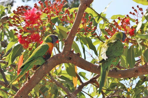 Sydney Harbour, Northern Beaches And National Park - Accommodation Ballina 5