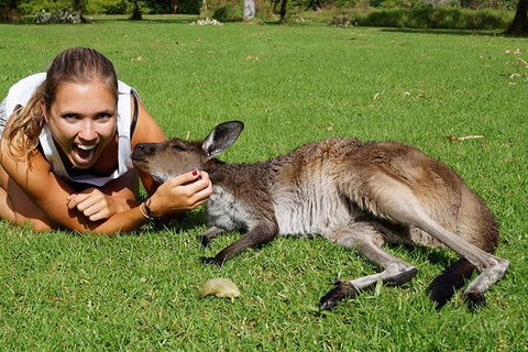 7-Day Tour In Sydney With Airport Pickup - Accommodation Ballina 4