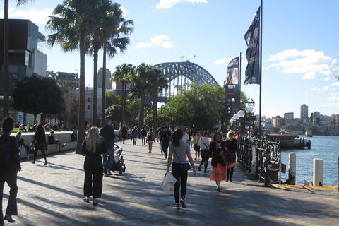 Private City Walking Tour From Your Hotel - Accommodation Ballina 0